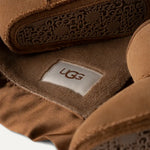 Infant Baby Classic and Lovey