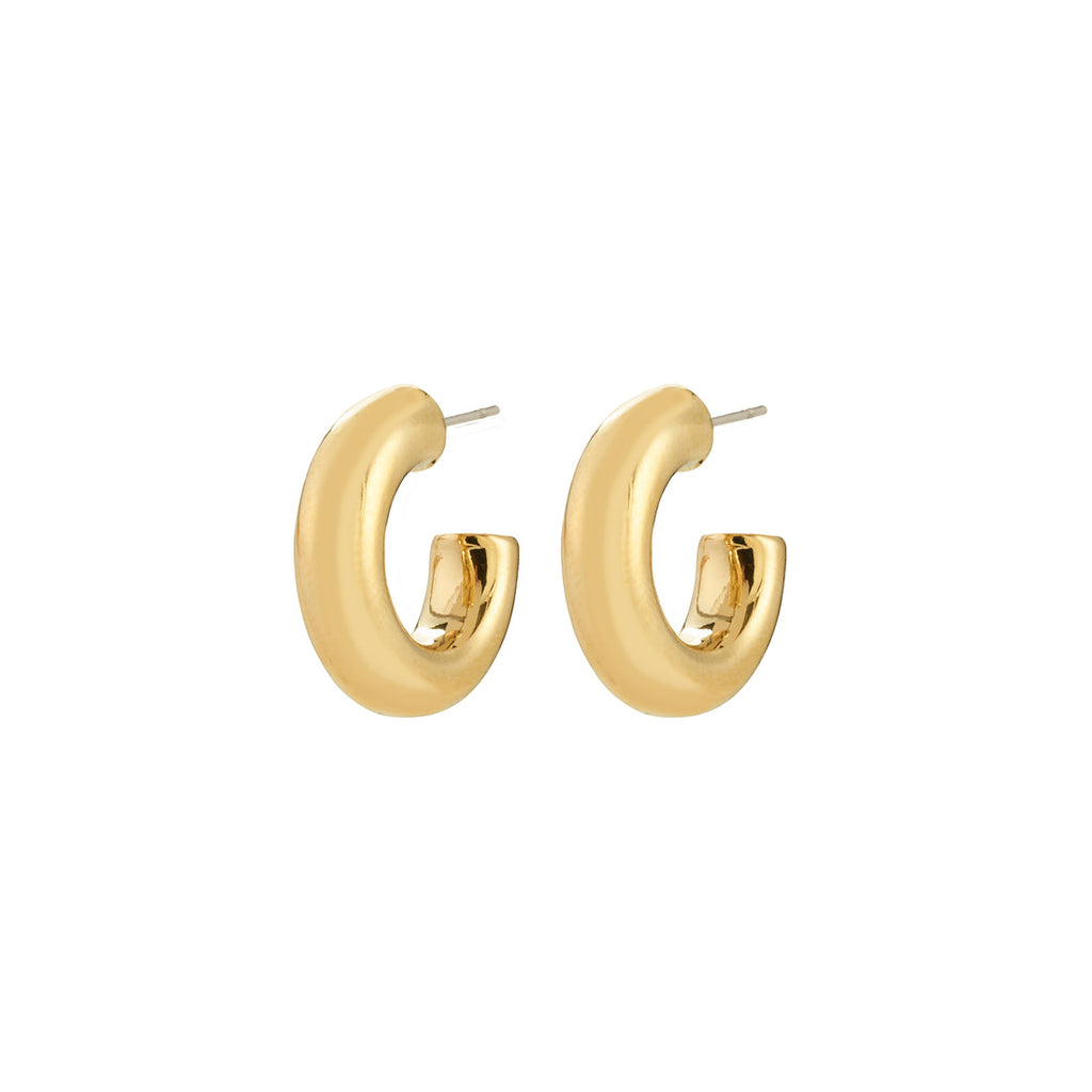 Phase Small Hoop Earrings