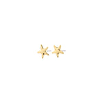 Andre Earrings