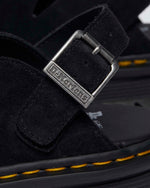 ZebZag Mule