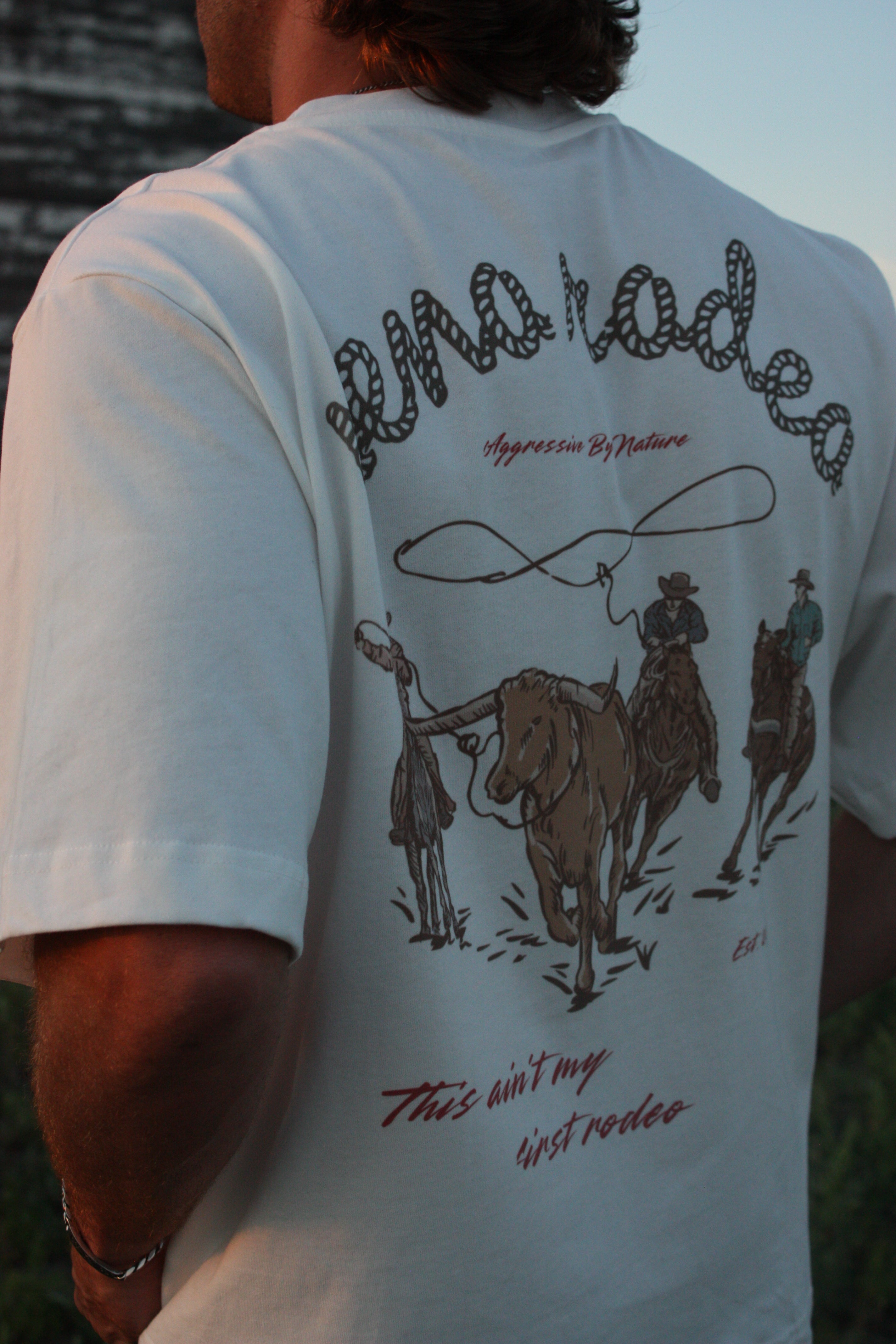 Reno Rodeo Crop Tshirt