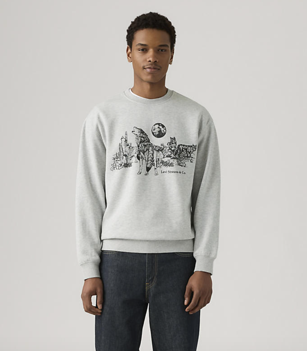 Relaxed Graphic Crew