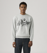 Relaxed Graphic Crew