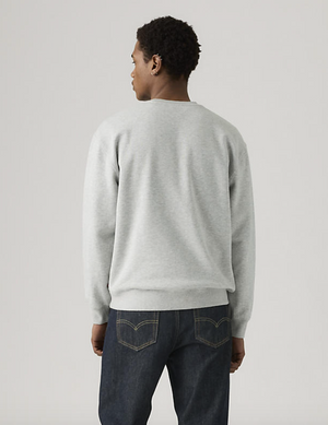Relaxed Graphic Crew