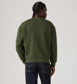 Relaxed Graphic Crew