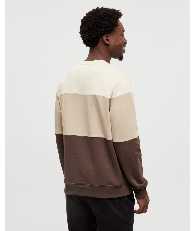 Men’s Blocked Reynard Crew
