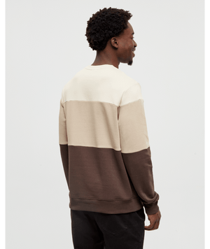 Men’s Blocked Reynard Crew