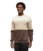 Men’s Blocked Reynard Crew